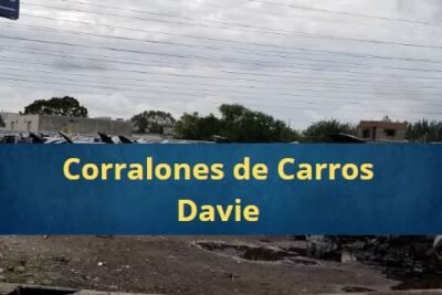 Corralones de Carros en Davie Florida Cerca de Mi